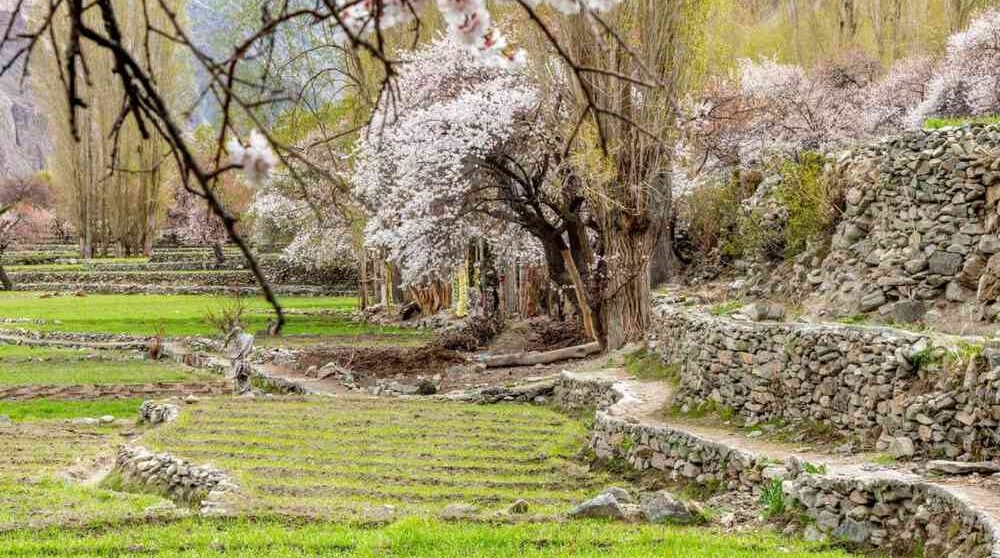 3e52dede-turtuk-village-april